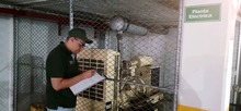 Dagma activ&oacute; un grupo operativo especial para el Control de Emisiones Contaminantes