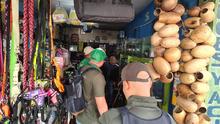 Dagma y Polic&iacute;a Ambiental realizan visitas de inspecci&oacute;n y control al  tr&aacute;fico de fauna