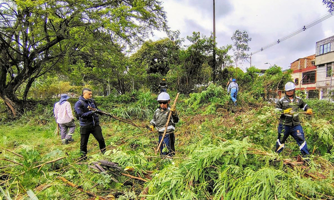 Alcald&iacute;a de Cali realiz&oacute; gran jornada de recuperaci&oacute;n, limpieza y  embellecimiento en la Comuna 15