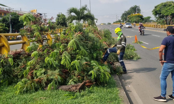 Cuadrillas del Dagma contribuyen al mejoramiento de la seguridad vial en Cali