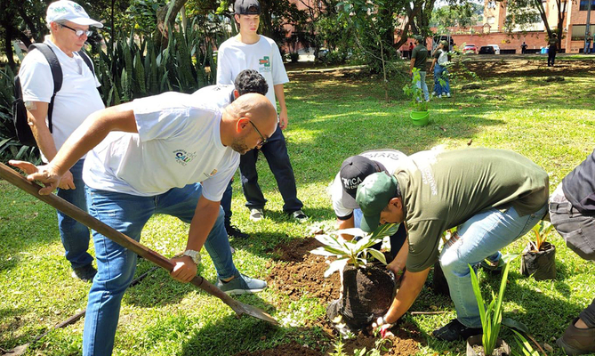 Gran jornada de &lsquo;Distrito m&aacute;s Verde&rsquo; se realiz&oacute; con &eacute;xito en la Comuna 17 de Cali