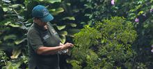 El Dagma lidera acciones para preservar la naturaleza con miras a Semana Santa: se entregar&aacute;n 2000 plantas ornamentales 