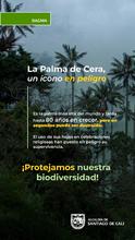 El Dagma lidera acciones para preservar la naturaleza con miras a Semana Santa: se entregar&aacute;n 2000 plantas ornamentales 