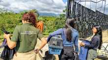 M&aacute;s de 870 liberaciones de fauna silvestre se han realizado en Cali  durante 2025: Dagma