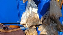 Autoridades ambientales incautan piel y caparaz&oacute;n de animales silvestres en el centro de Cali