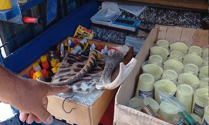 Autoridades ambientales incautan piel y caparaz&oacute;n de animales silvestres en el centro de Cali