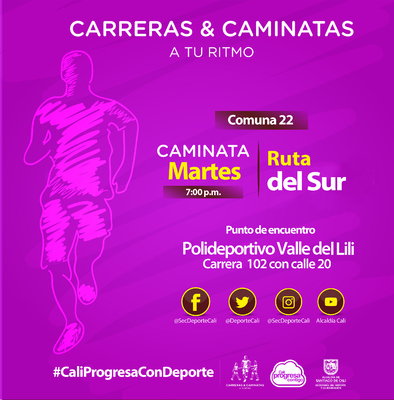 Caminata comuna 22 Ruta del Sur
