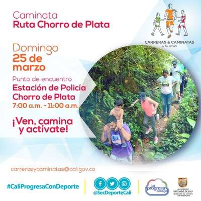 Caminata ruta Chorro de Plata 