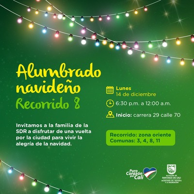 Alumbrado navide&ntilde;o  Recorrido 8