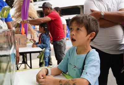 La Ciudadela de la Alegr&iacute;a brill&oacute; en Cali con biodiversidad y cuidado ambiental 6