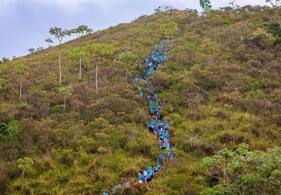 Cali madrug&oacute; y se goz&oacute; el bello paisaje de la Carrera 4.2K El Morro R&iacute;o Mel&eacute;ndez 13