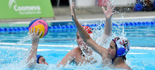 Nuevos talentos del waterpolo sudamericano se concentran en Cali hasta el pr&oacute;ximo domingo