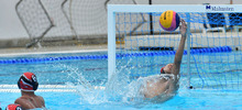 Nuevos talentos del waterpolo sudamericano se concentran en Cali hasta el pr&oacute;ximo domingo