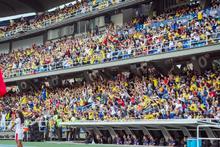 Cali ultima detalles para comienzo del Suramericano Sub-20 de F&uacute;tbol