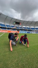 Gramilla del Pascual Guerrero est&aacute; como un tapete para disputa del Suramericano Sub 20
