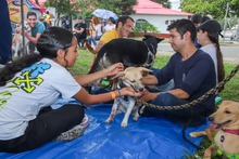 La Ciudadela de la Alegr&iacute;a regres&oacute; llena de atracciones y caras felices de las familias cale&ntilde;as