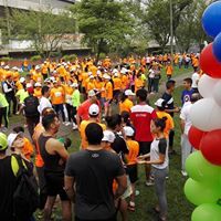 Carreras y Caminatas 15