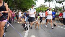 En la Ciclovida de Cali: act&iacute;vate y vive saludable