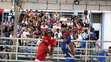 Con masiva participaci&oacute;n en el Running Day, disciplinas de nuevas tendencias y actividades para ni&ntilde;os, la Feria Deportiva de Cali despidi&oacute; su programaci&oacute;n 