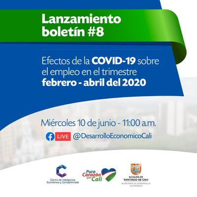 Lanzamiento Bolet&iacute;n CIEC # 8