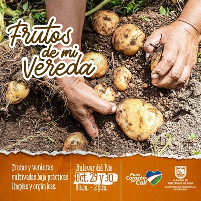 Frutos de mi Vereda