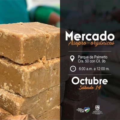 Mercado Org&aacute;nico Parque de Palmetto 