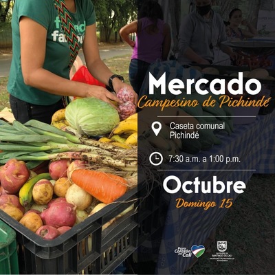 Mercado Campesino de Pichind&eacute;