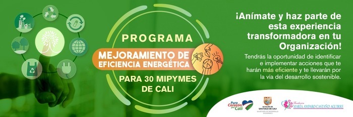 Talleres virtuales de formaci&oacute;n en Eficiencia Energ&eacute;tica