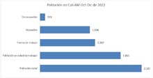En Cali el trabajo infantil decrece: cifras y resultados