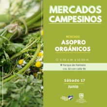 Antes de celebrar este fin de semana, recuerde ir de compras a los &lsquo;Mercados Campesinos&rsquo;