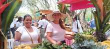 Los Mercados Campesinos, a tono con la marimba, el cununo y el guas&aacute; 