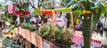 Los Mercados Campesinos, a tono con la marimba, el cununo y el guas&aacute; 