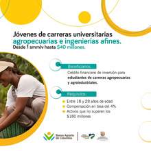 Alcald&iacute;a brinda subsidios de tasa de inter&eacute;s en cr&eacute;ditos para emprendedores