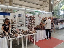 A comprar en la Feria Social &lsquo;CalzaCosto&rsquo; 