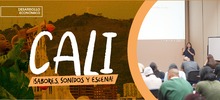 Formaci&oacute;n para los ganadores de la convocatoria &iexcl;CALI: Sabores, Sonidos y Escena!
