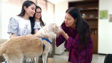 Liliana Sierra se posesion&oacute; como directora de la Unidad de Protecci&oacute;n Animal