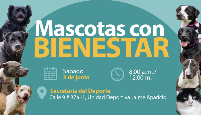 El s&aacute;bado 3 de junio se realizar&aacute; jornada de bienestar para mascotas de personal de la Alcald&iacute;a de Cali