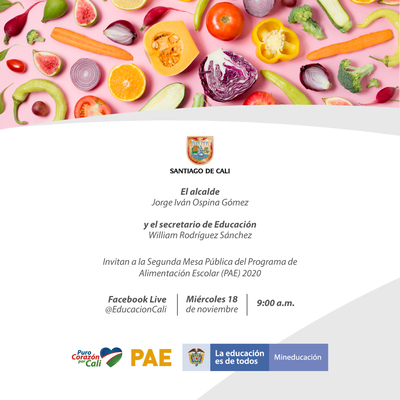 SEGUNDA MESA P&Uuml;BLICA DEL PROGRAMA DE ALIMENTACION ESCOLAR (PAE) 2020
