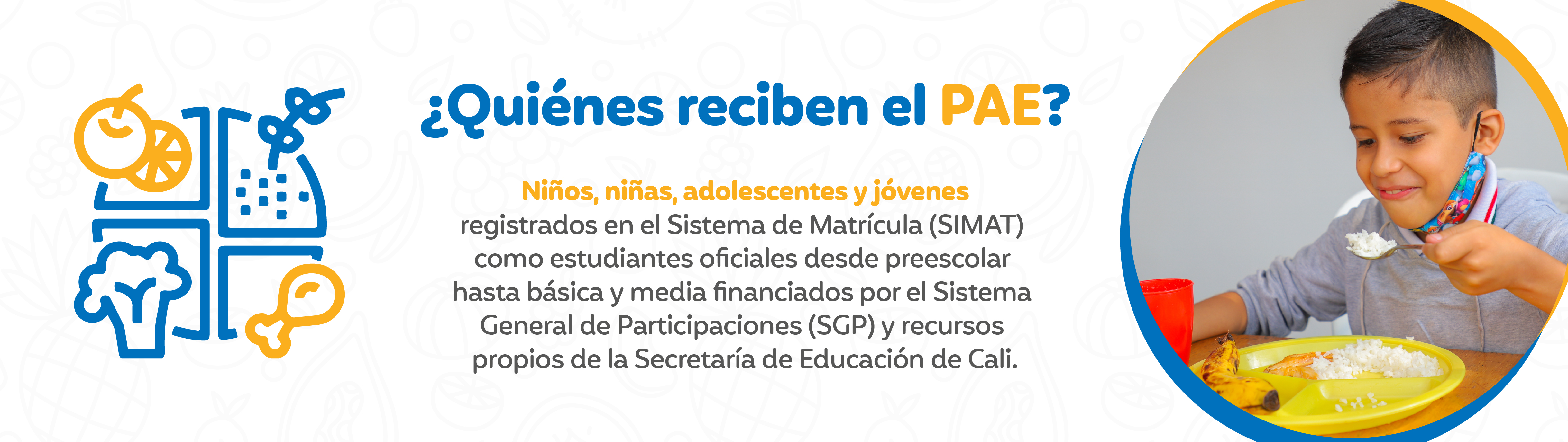 ¿Quienes reciben el PAE?