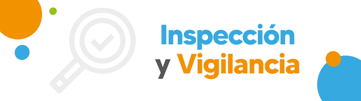 Slide 1 Inspección y Vigilancia