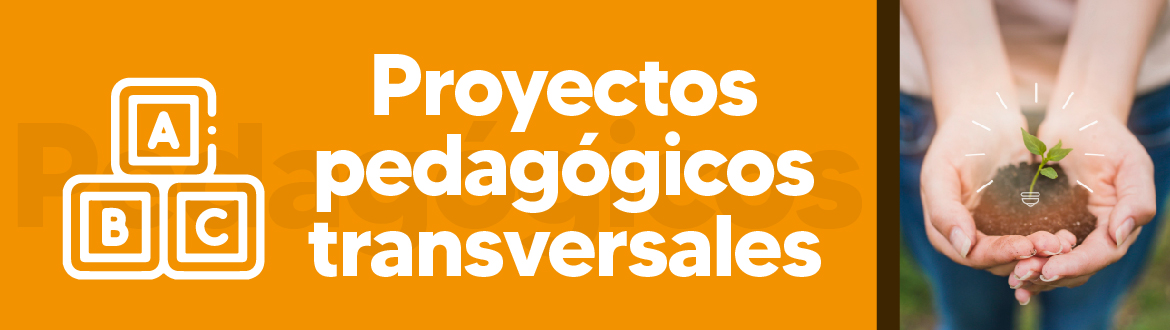 Fortalecimiento 2
