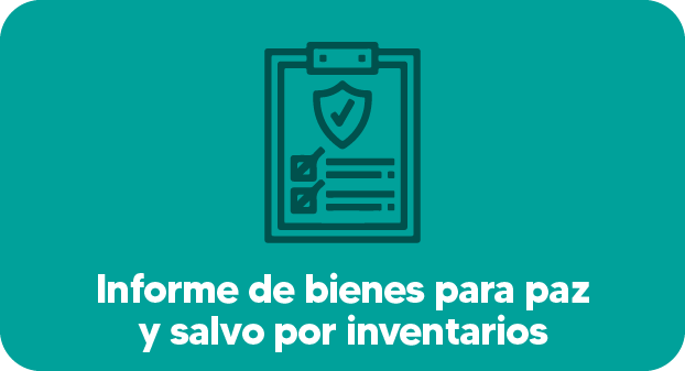 Informe de bienes para paz y salvo por inventarios