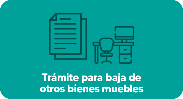 Trámite para baja de otros bienes muebles