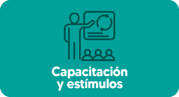Capacitación y estímulos