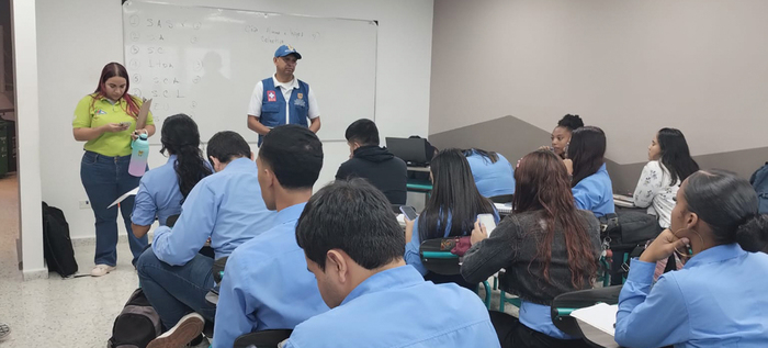 Promoci&oacute;n y atenci&oacute;n de salud mental en entorno laboral de empresas formales