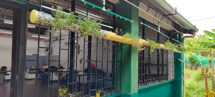 Jard&iacute;n colgante biotecnol&oacute;gico, la novedad en la feria de la ciencia y el arte de la Instituci&oacute;n Santo Tom&aacute;s