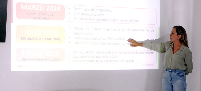Se present&oacute;, ante Ministerio de Educaci&oacute;n Nacional, el Plan Operativo Anual de Inspecci&oacute;n y Vigilancia de la Secretar&iacute;a de Educaci&oacute;n de Cali