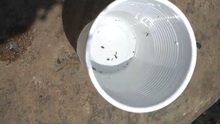 Estudiantes de la Instituci&oacute;n Educativa Oficial Pance trabajan en la protecci&oacute;n del r&iacute;o Pance con innovadora metodolog&iacute;a de an&aacute;lisis