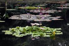 Estudiantes de colegios p&uacute;blicos y privados pueden participar del concurso  de fotograf&iacute;a &lsquo;La Escuela: Captura la Biodiversidad&rsquo;