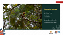 Fueron premiados los talentos estudiantiles que fotografiaron la  biodiversidad de Cali